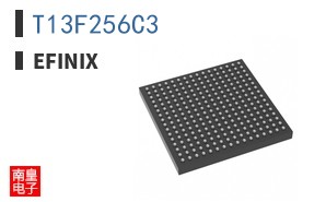 T13F256C3