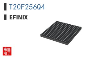 T20F256Q4
