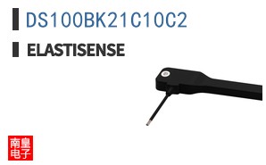 DS100BK21C10C2