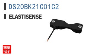 DS20BK21C01C2