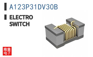 A123P31DV30B