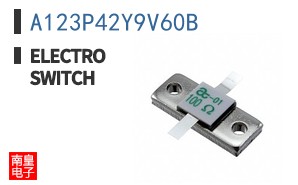 A123P42Y9V60B