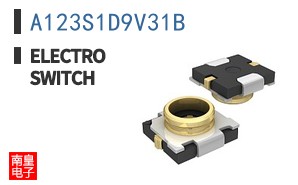 A123S1D9V31B