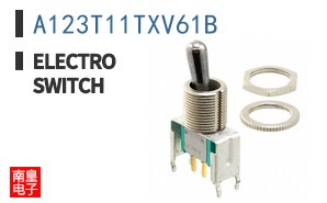 A123T11TXV61B