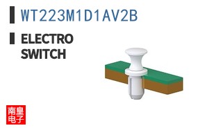 WT223M1D1AV2B