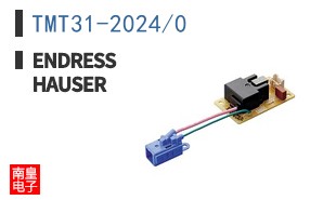TMT31-2024/0