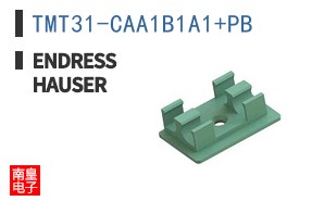 TMT31-CAA1B1A1+PB