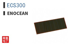 ECS300