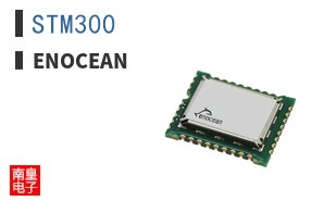 STM300