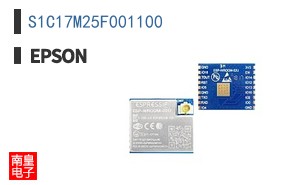 S1C17M25F001100
