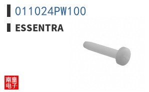 011024PW100