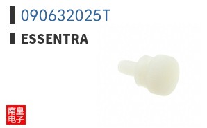 090632025T