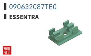 090632087TEG