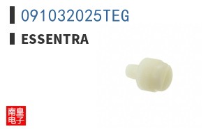 091032025TEG