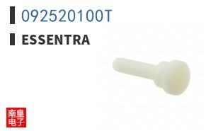 092520100T