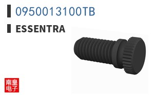 0950013100TB