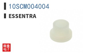 10SCM004004