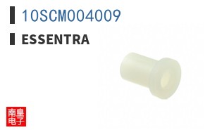 10SCM004009