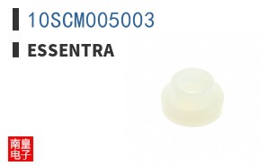 10SCM005003