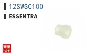 12SWS0100