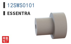 12SWS0101