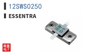 12SWS0250
