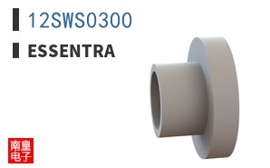 12SWS0300