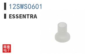 12SWS0601