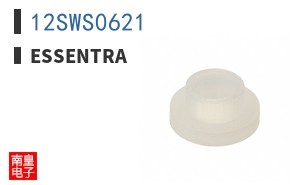 12SWS0621