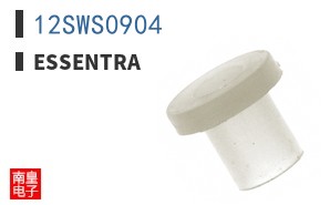 12SWS0904