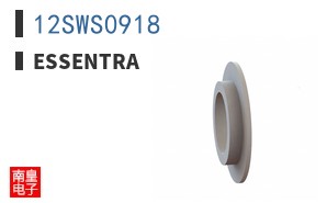 12SWS0918