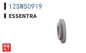 12SWS0919