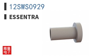 12SWS0929