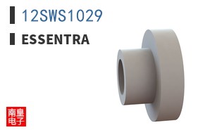 12SWS1029