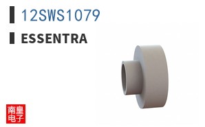 12SWS1079