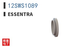 12SWS1089