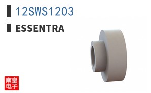 12SWS1203