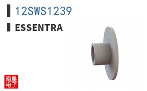 12SWS1239