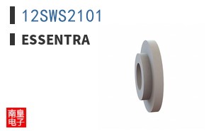 12SWS2101