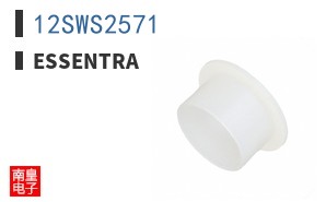 12SWS2571