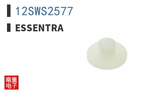 12SWS2577