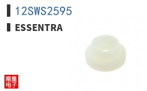 12SWS2595
