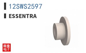 12SWS2597