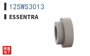 12SWS3013