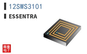 12SWS3101