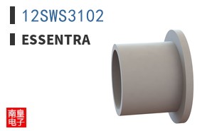 12SWS3102