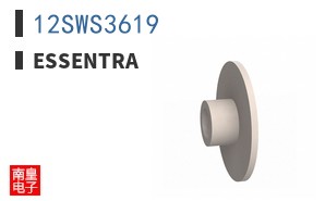 12SWS3619