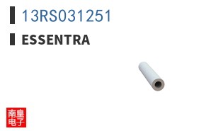 13RS031251