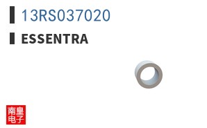 13RS037020