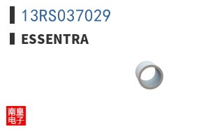 13RS037029